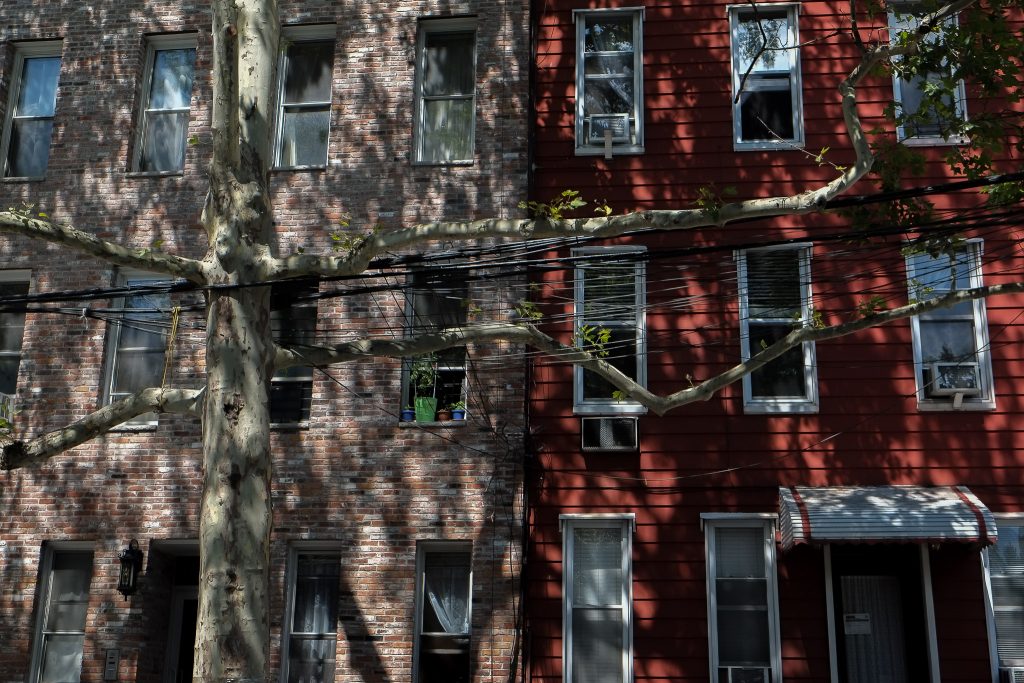 photograph of buildings in Williamsburg in New York. the buildings are brick and wood siding. in the foreground there is a tree and powerlines. the sun is strong and creating strong dappled and stippled shadows on the buildings.